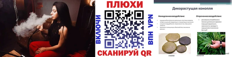 где купить наркоту  Волосово  ГАШИШ индика сатива 