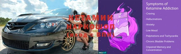 молекула духа Богородицк