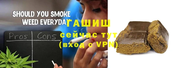 молекула духа Богородицк