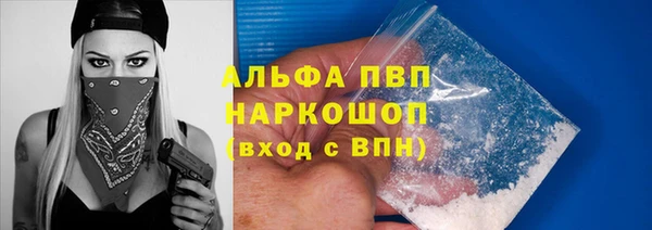 ешки Богданович