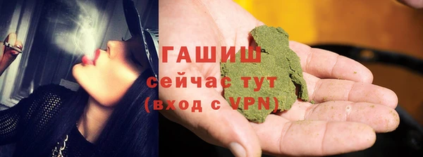 молекула духа Богородицк