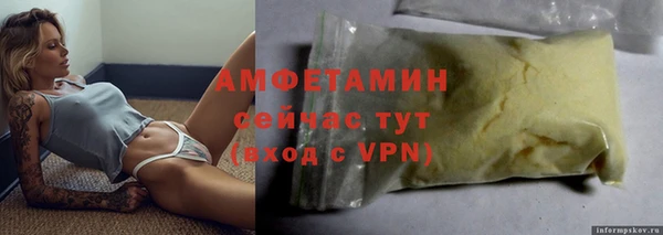 молекула духа Богородицк