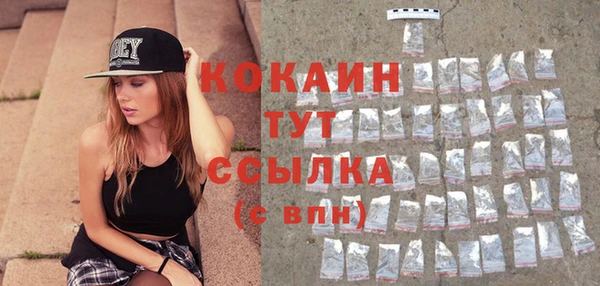 молекула духа Богородицк
