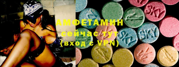 молекула духа Богородицк