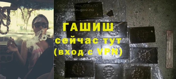 молекула духа Богородицк
