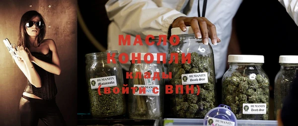 молекула духа Богородицк