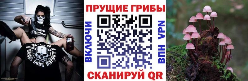 Галлюциногенные грибы Magic Shrooms  omg ССЫЛКА  Волосово 