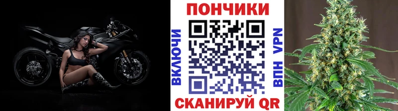 купить наркотик  маркетплейс клад  Каннабис тримм  Волосово 